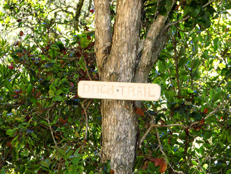 Ditch Trail

