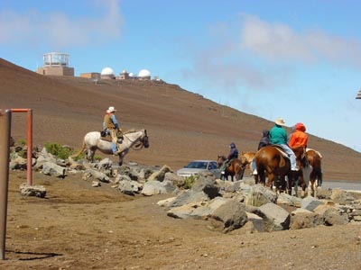 mit Pferd geht's für manche auf den Sliding Sands Trail
