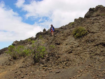 am Weg zum Ka Lu'u o ka O'o
Schlüsselwörter: am Weg zum Ka Lu'u o ka O'o, Haleakala, Maui