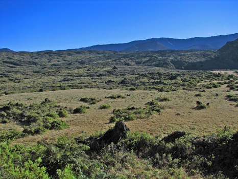 Halemau'u Trail
