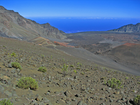 Sliding Sands Trail
