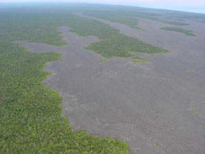 Bäume und Häuser sind metertief unter der Lava vergraben
