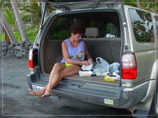 Big Island, Isuzu Rodeo (Harper)
