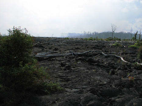 Kahaualea Trail
