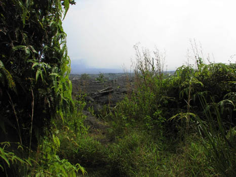 Kahaualea Trail

