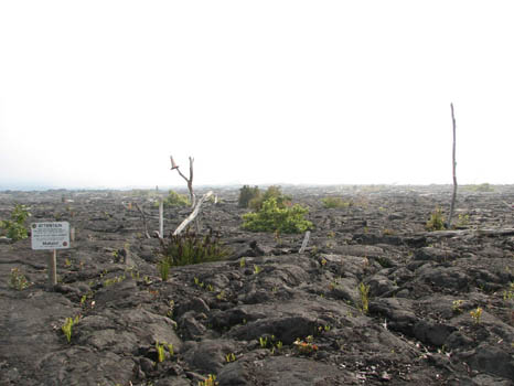 Kahaualea Trail
