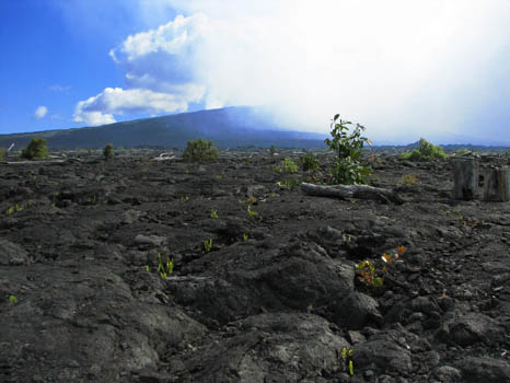 Kahaualea Trail
