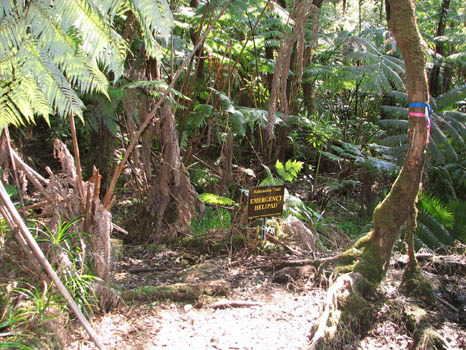 Kahaualea Trail
