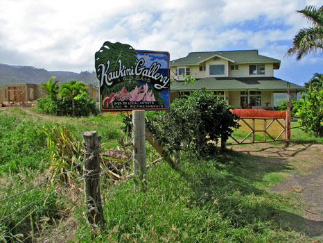 Kaukini Gallery
