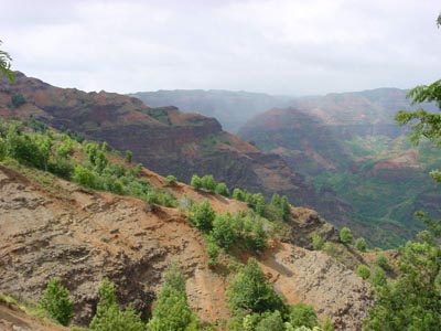 Waimea Canyon
