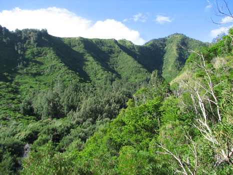 Kuliouou Ridge Trail
