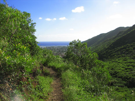 Kuliouou Ridge Trail
