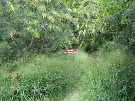 Kuliouou Ridge Trail
