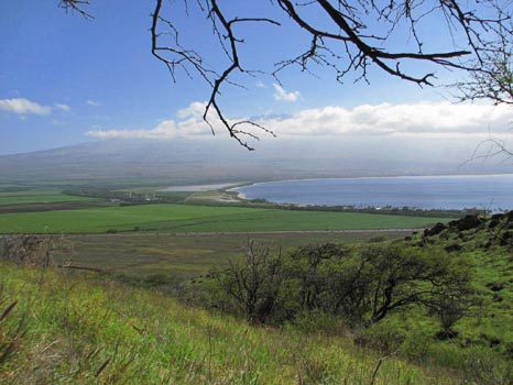 Lahaina Pali Trail
