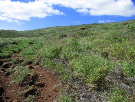 Lahaina Pali Trail
