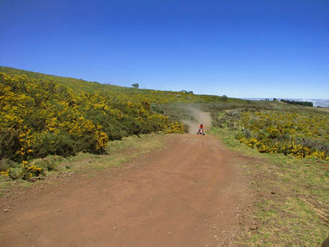 Mana Road-2
