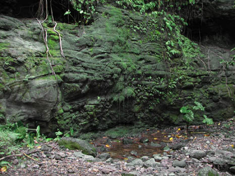 Maunawili Demonstration Trail Waimanalo side
