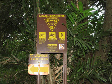 Maunawili Demonstration Trail Waimanalo side
