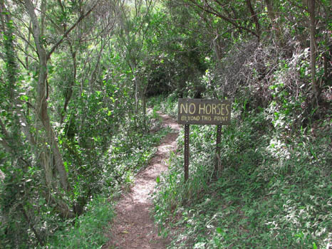 Maunawili Demonstration Trail Waimanalo side
