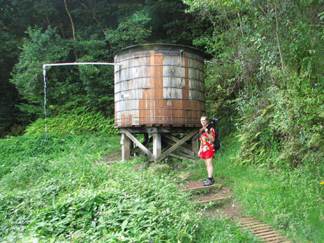 Maunawili Demonstration Trail
