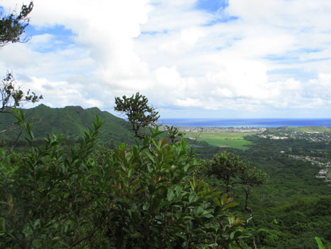 Maunawili Demonstration Trail
