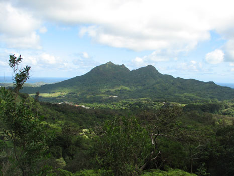 Maunawili Demonstration Trail
