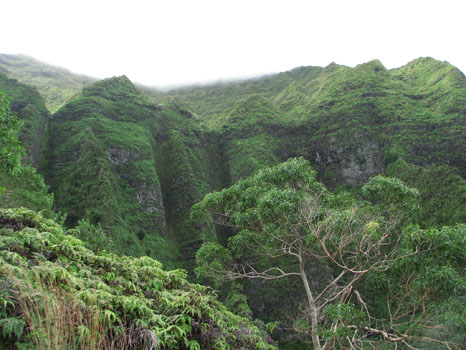 Maunawili Demonstration Trail

