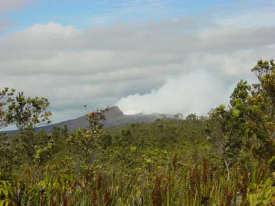 Napau Crater Trail
