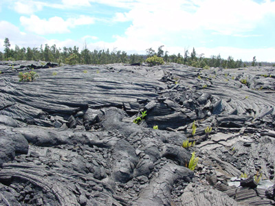 Naulu Trail-2~0.jpg