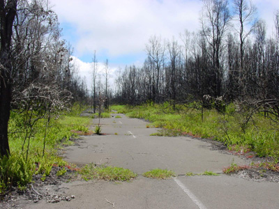 die alte Chain of Craters Road
