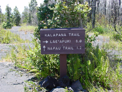 das Schild sollte geändert werden: Lae'apuki und ein Großteil des Kalapana Trails liegen unter der Lava
