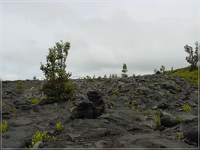Naulu_Trail.jpg