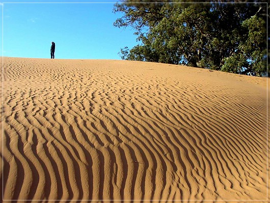 Perry Sand Hills
