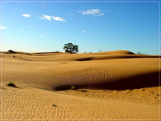 Perry Sand Hills
