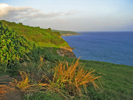 Pi'ilany Hwy.
