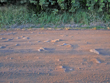 Pi'ilany Hwy.
