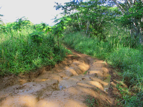 Powerline Trail south
