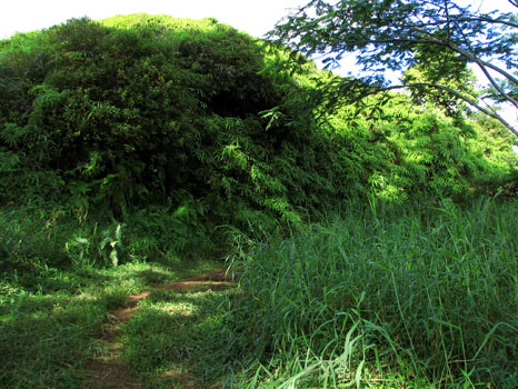 Powerline Trail south
