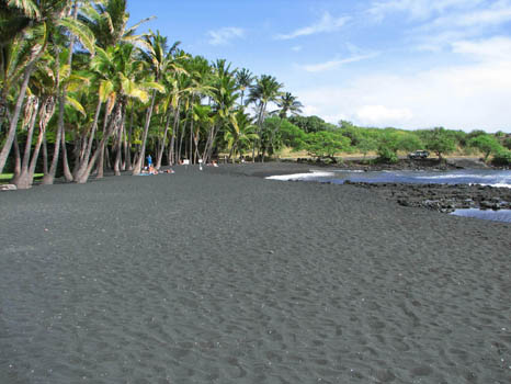 Punalu'u Black Sand Beach
