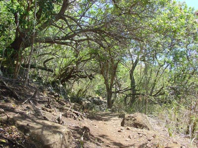 Sleeping Giant Trail
