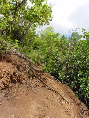 Sleeping Giant Trail
