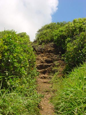 Sleeping Giant Trail
