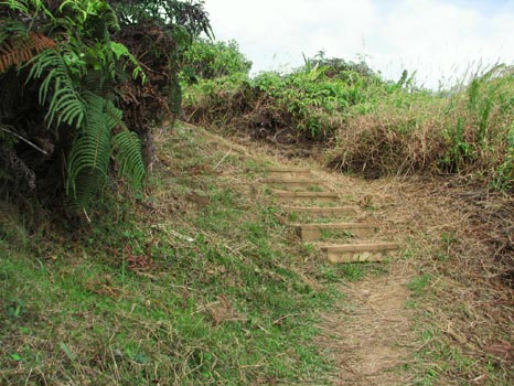 Waihe'e Ridge Trail
