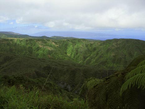 Waihe'e Ridge Trail
