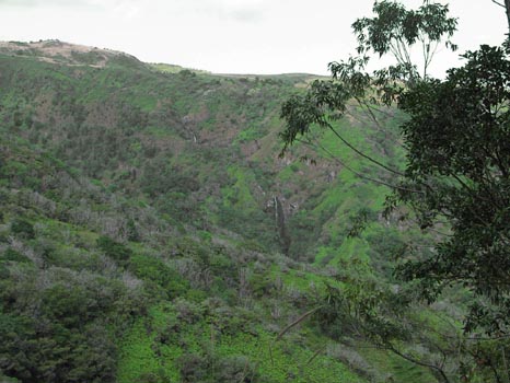 Waihe'e Ridge Trail
