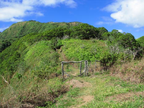 Waihe'e Ridge Trail
