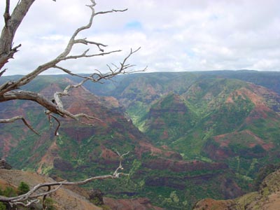 Waimea Canyon
