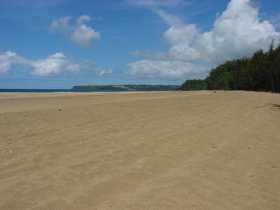 Waiolo Beach
