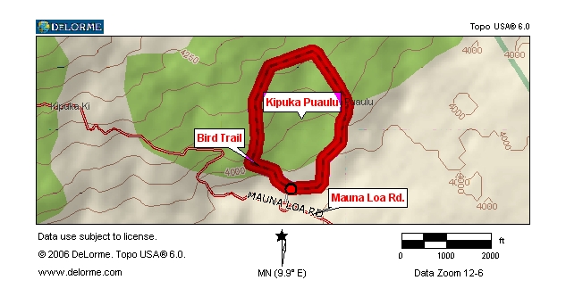Big Island - Bird Trail
