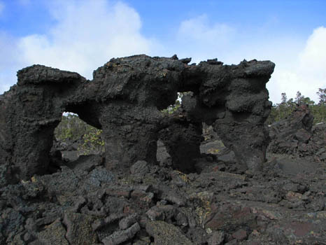 Lava Tree
